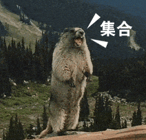 解析｜最傻五星座与最精五星座，你是属于傻的还是精？
